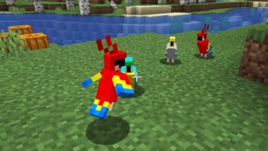 How To Breed Parrots In Minecraft?