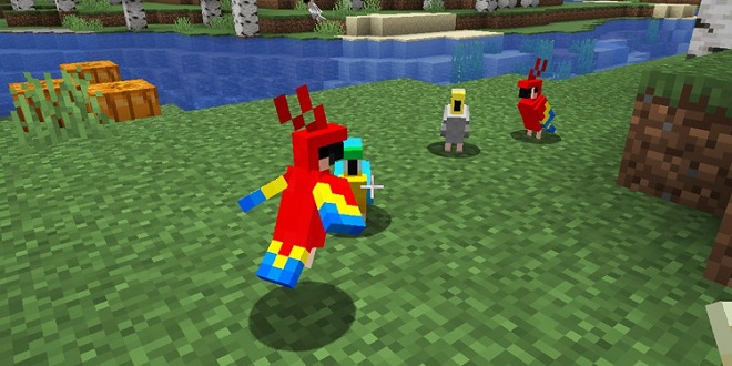 How To Breed Parrots In Minecraft?